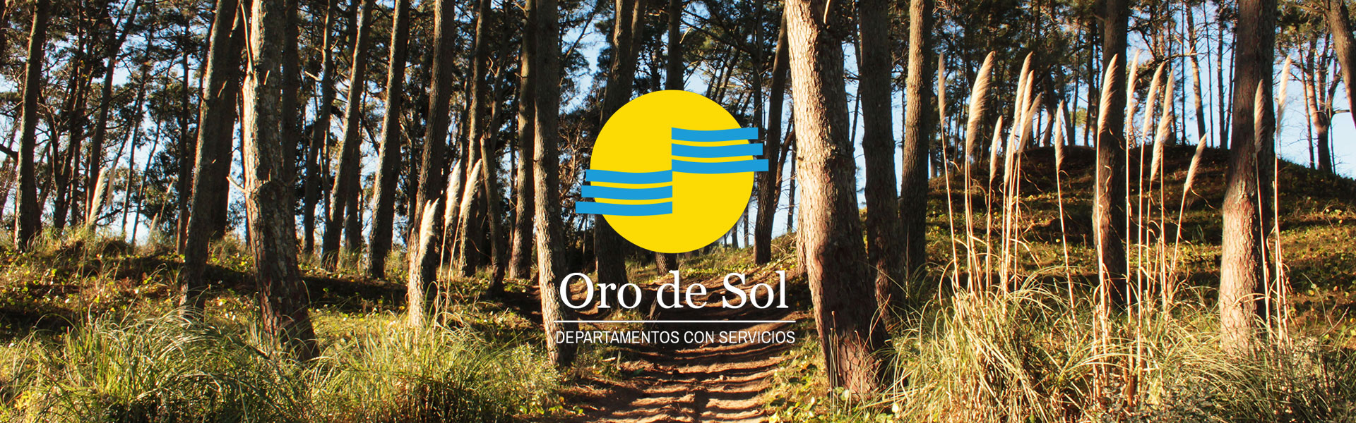 oro de sol